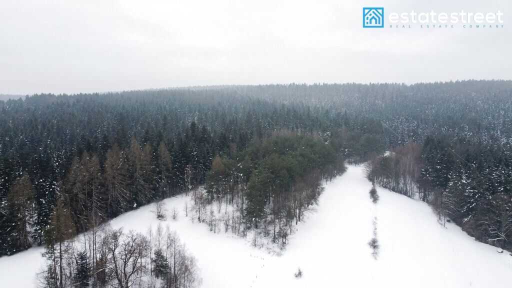 Działka rolna Kuźmina. Zdjęcie 5