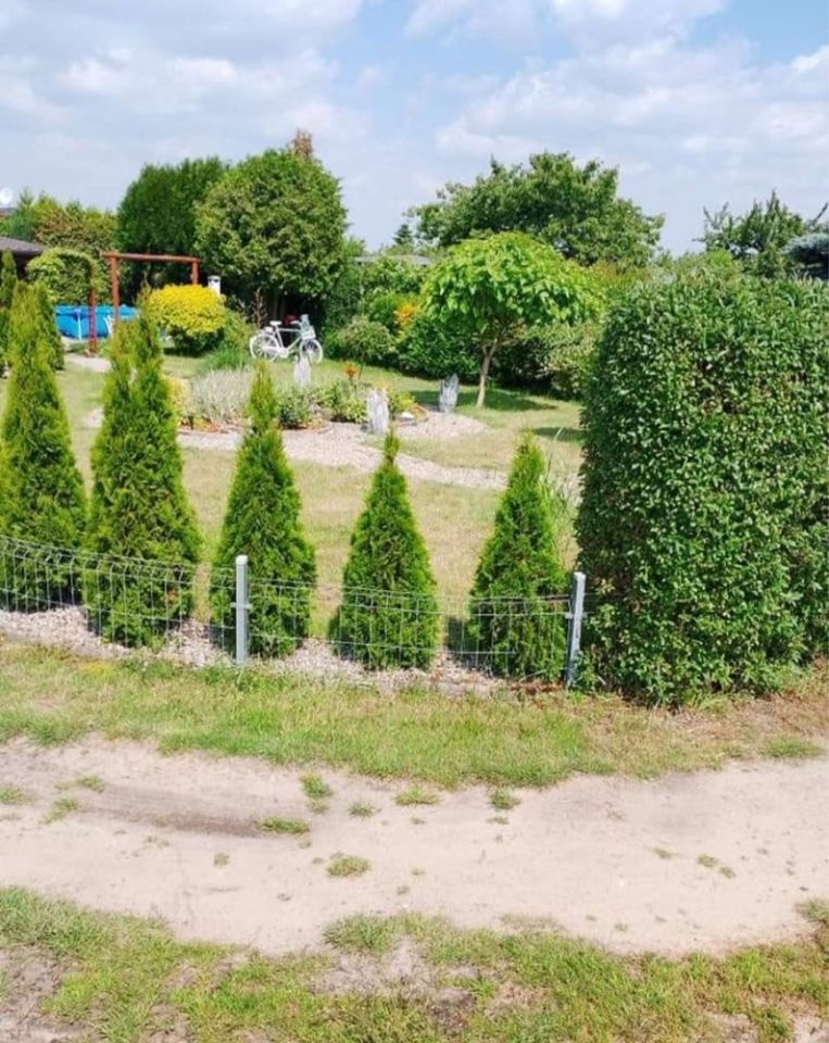 Działka rod Międzychód. Zdjęcie 5