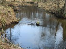 Działka budowlana Kołacin. Zdjęcie 1