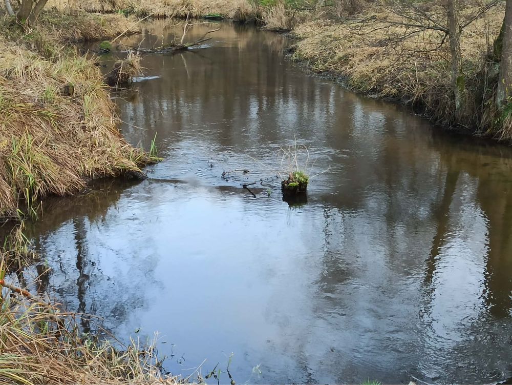 Działka budowlana Kołacin. Zdjęcie 2