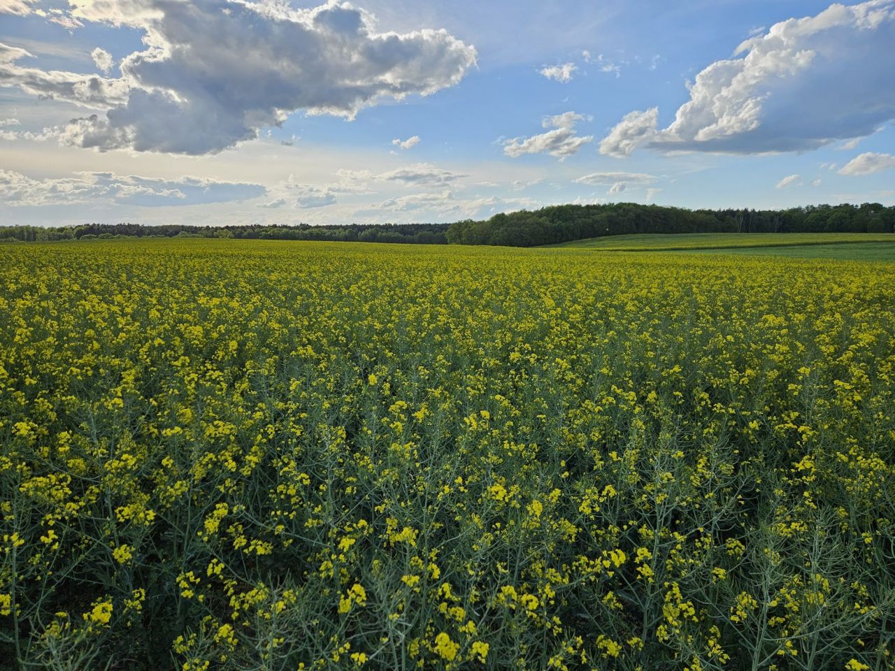 Działka budowlana Trzebicko. Zdjęcie 3