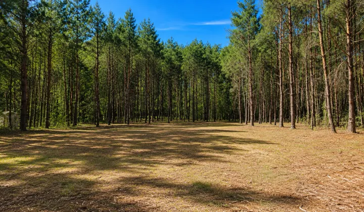 Działka budowlana Karczewko, ul. Bukowa