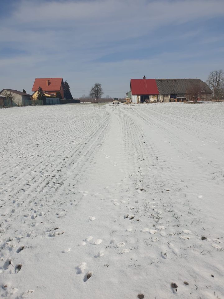 Działka rolna Ciszyca Górna. Zdjęcie 2