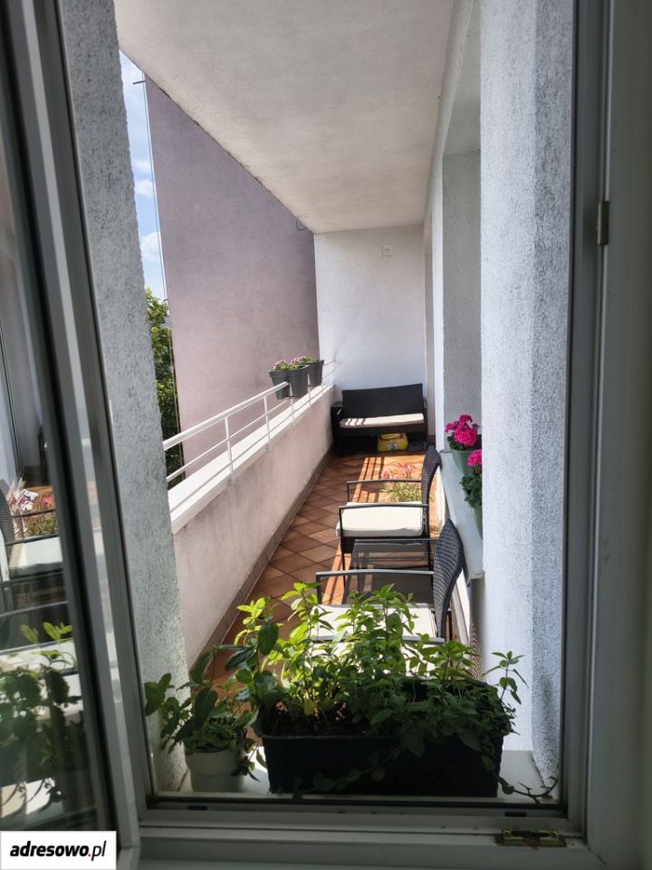 Mieszkanie 2-pokojowe Poznań Wilda. Zdjęcie 15