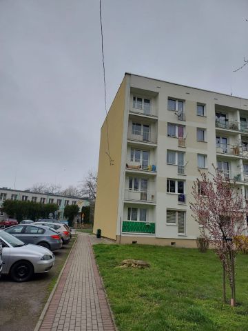 Mieszkanie 2-pokojowe Kędzierzyn-Koźle, ul. Spółdzielców. Zdjęcie 1