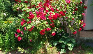 dom wolnostojący, 4 pokoje Stare Kiejkuty