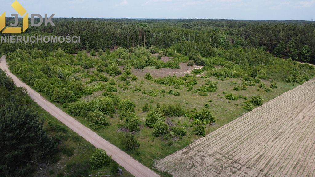 Działka rolna Marysin. Zdjęcie 4