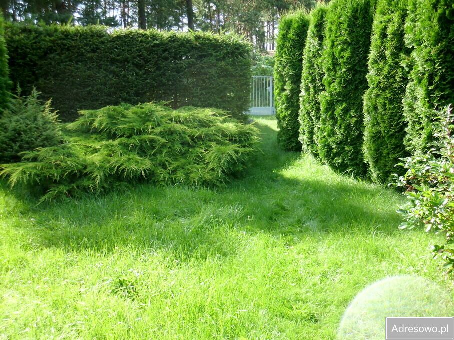 Mieszkanie 2-pokojowe Parzyn. Zdjęcie 7