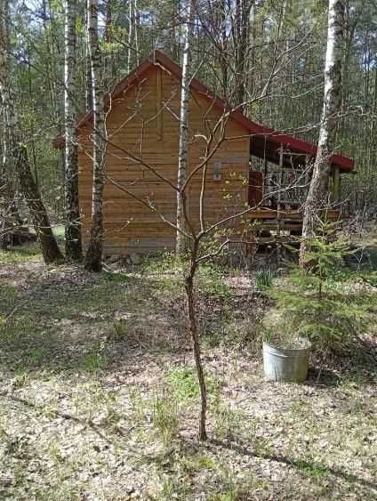 Działka Joniec-Kolonia. Zdjęcie 2