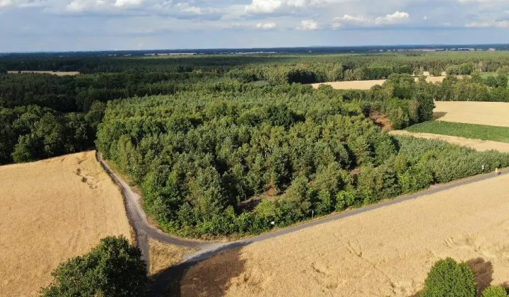 Działka budowlana Czarnybród