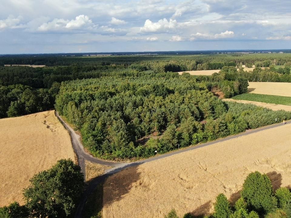 Działka budowlana Czarnybród. Zdjęcie 1