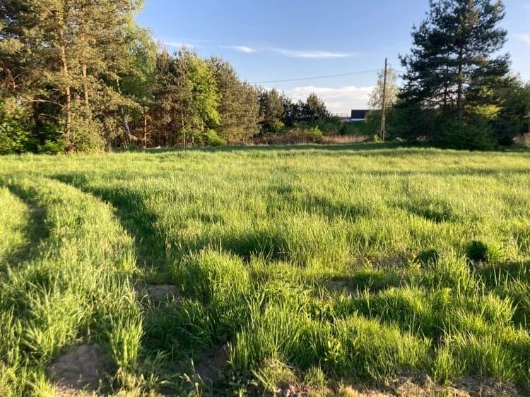 Działka budowlana Imielin Imielin-Jazd, ul. Zachęty