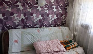 Działka rod Gliwice Trynek, ul. Rybnicka