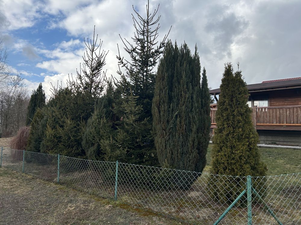 Działka rod Czernica. Zdjęcie 6