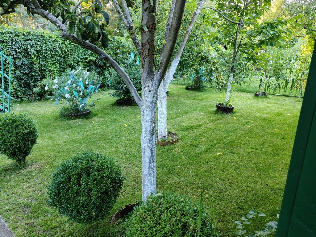 Działka rod Nowa Sól. Zdjęcie 6