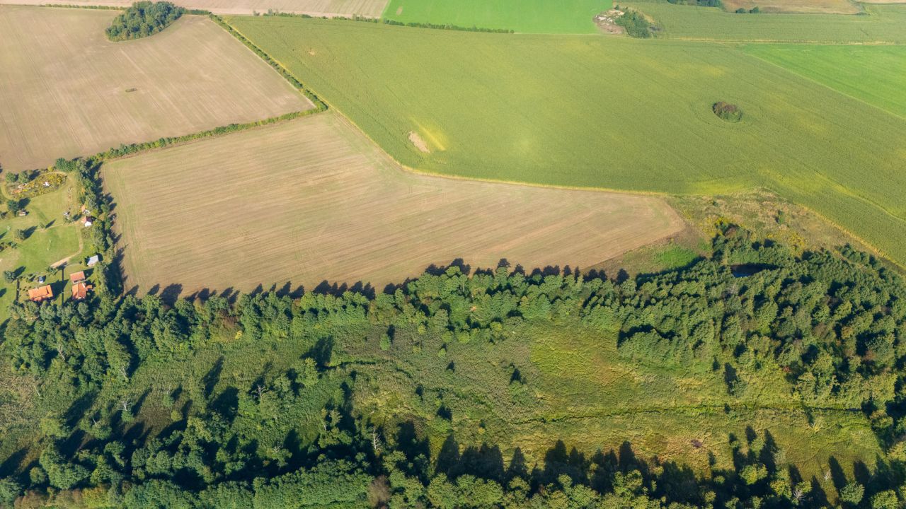 Działka rolno-budowlana Gołębiewo. Zdjęcie 8
