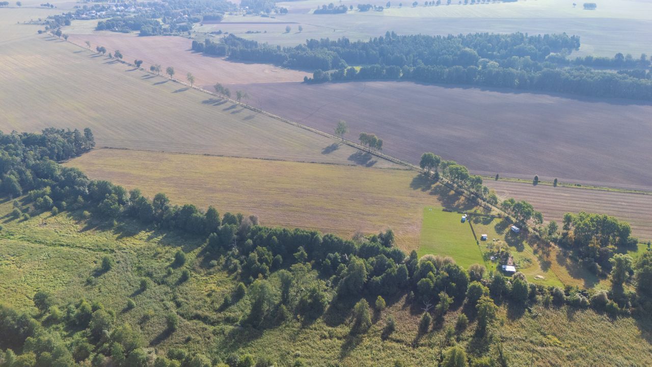 Działka budowlana Wierzbowo. Zdjęcie 8