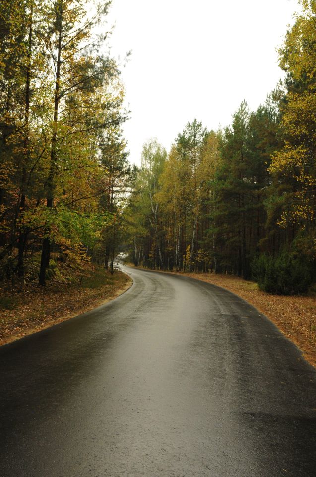 Działka rolno-budowlana Podgać. Zdjęcie 4