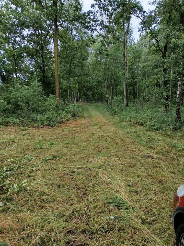 Działka rekreacyjna Teodorów. Zdjęcie 3