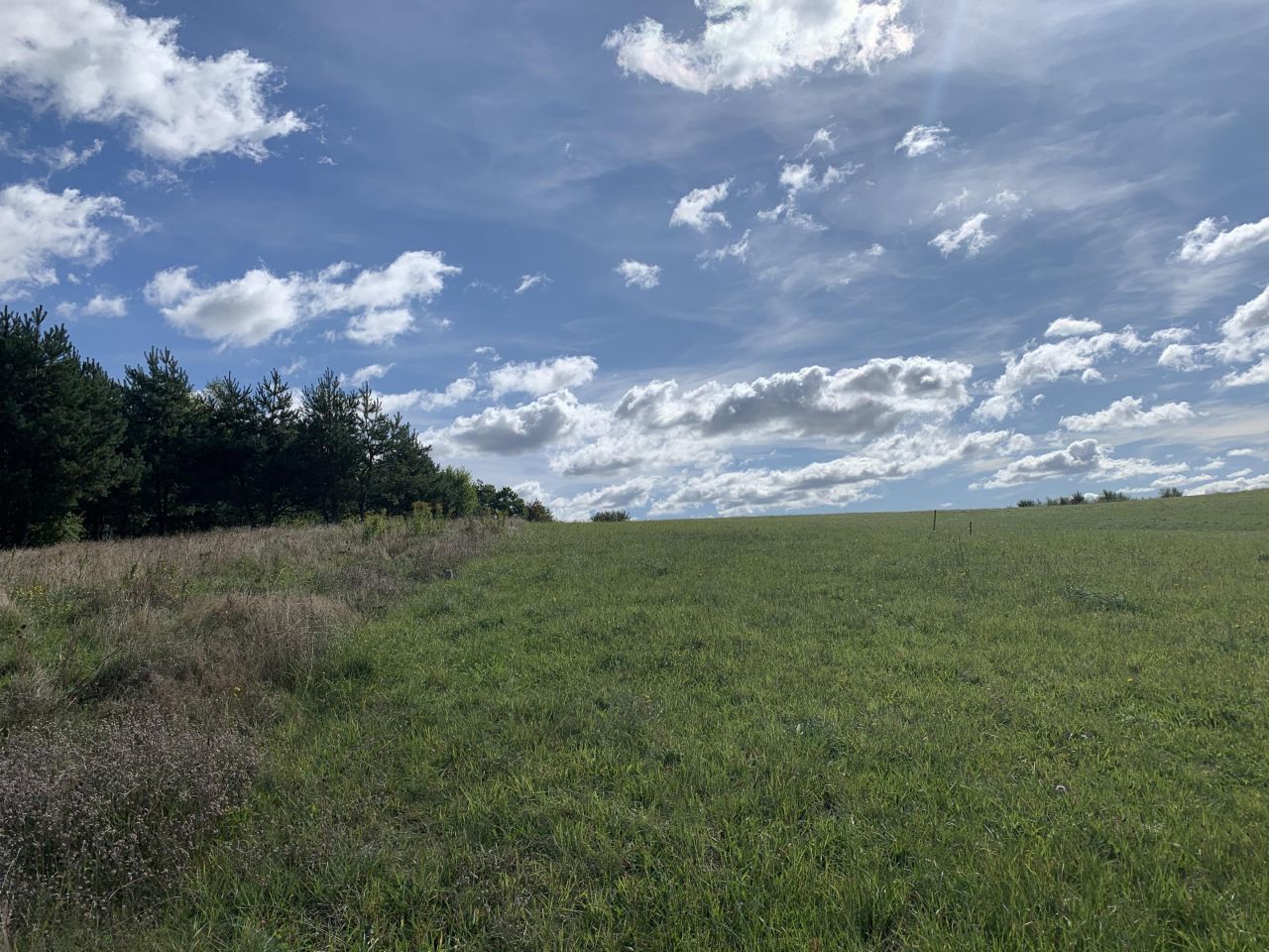 Działka budowlana Zalbki. Zdjęcie 7