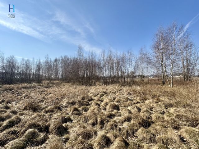 Działka inwestycyjna Nieborów, ul. Wschodnia. Zdjęcie 12