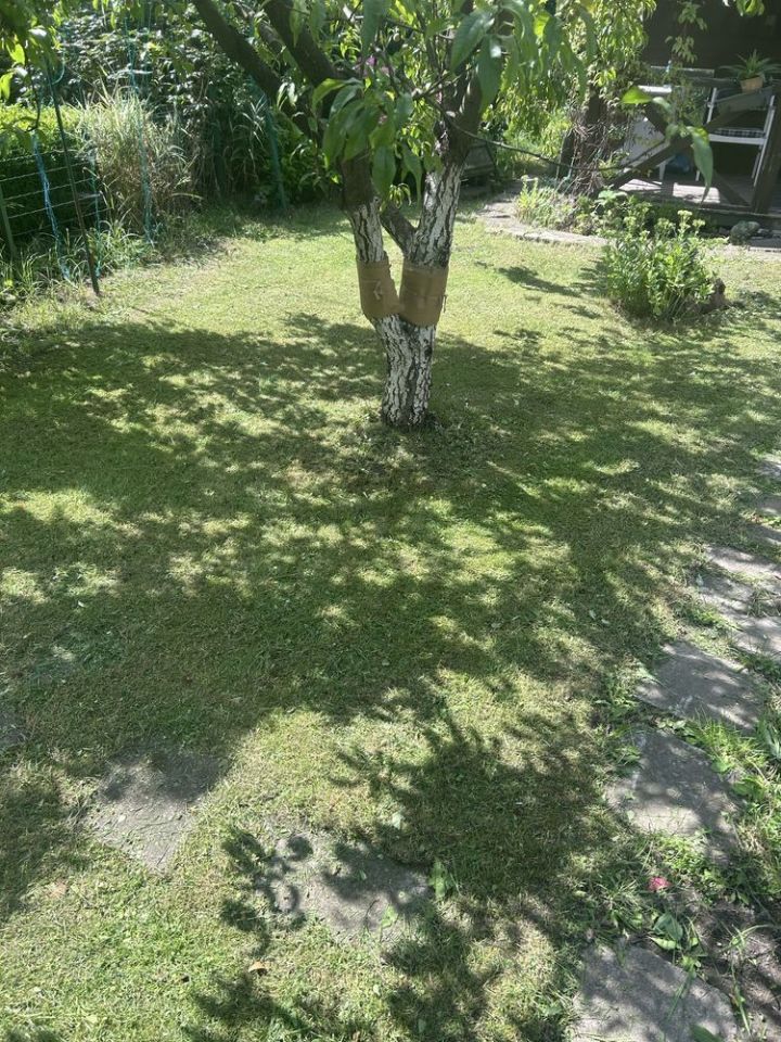 Działka rod Warszawa Włochy. Zdjęcie 1