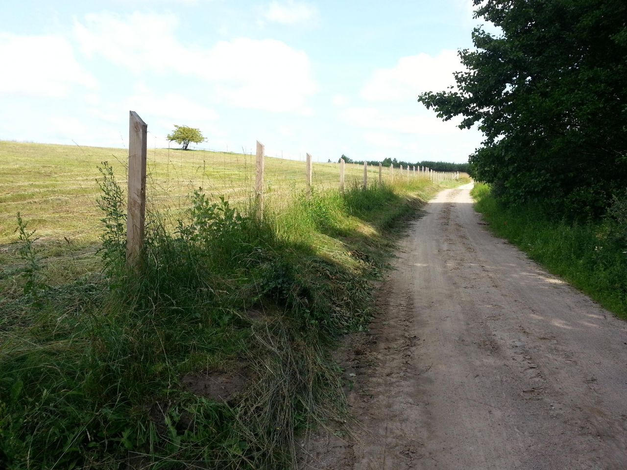 Działka rolna Prawdowo. Zdjęcie 6