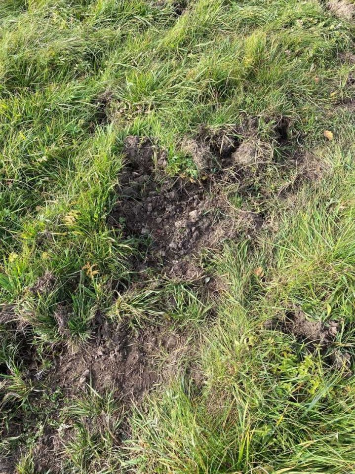 Działka rolna Ławki. Zdjęcie 3