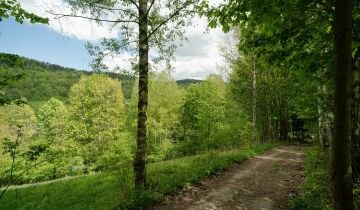 Działka budowlana Konradów, Konradów