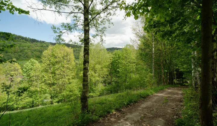 Działka budowlana Konradów