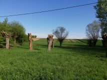 Działka rolna Studzianki. Zdjęcie 3