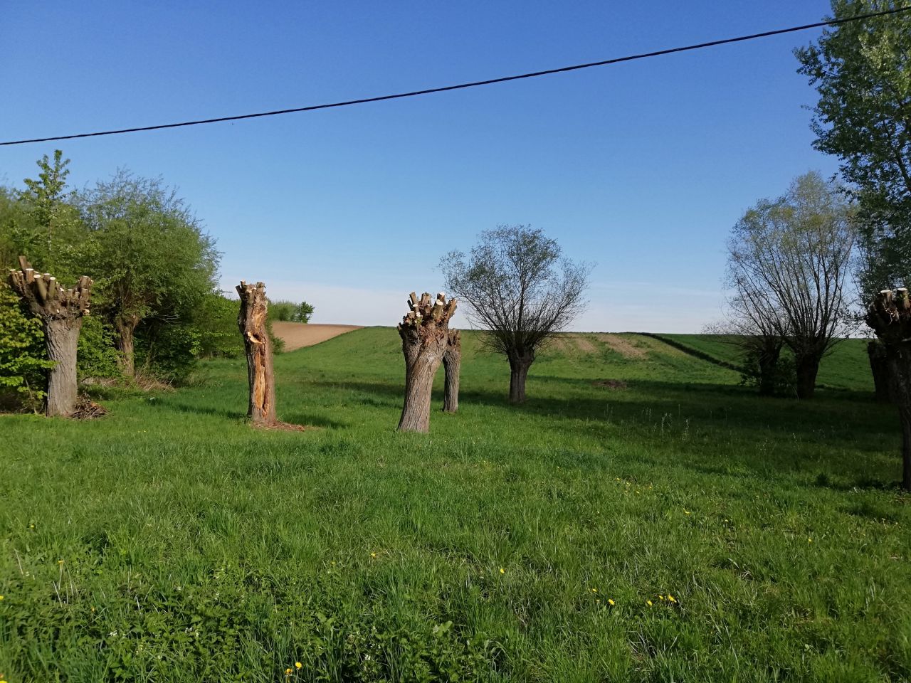 Działka rolna Studzianki. Zdjęcie 4
