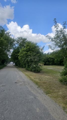 Działka budowlana Tarkowo Dolne, ul. Leśna. Zdjęcie 4