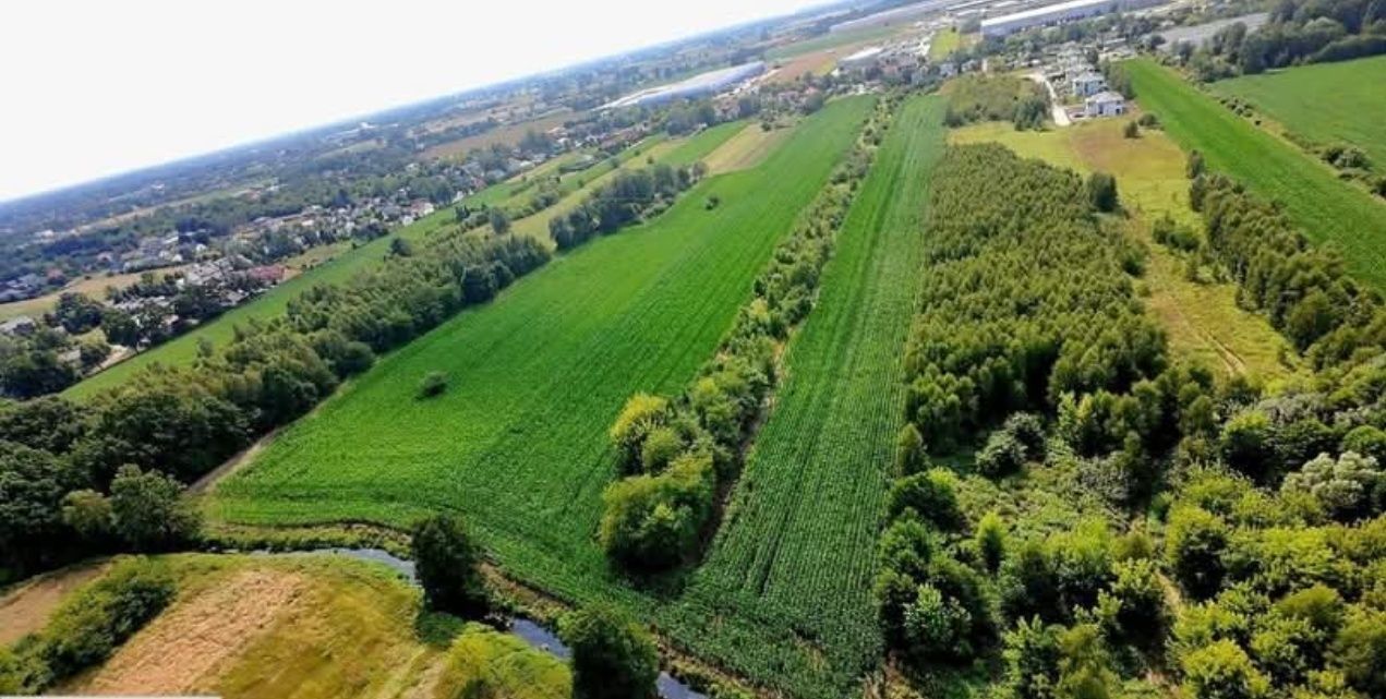 Działka inwestycyjna Natolin. Zdjęcie 2