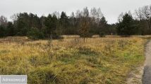 Działka Rudki Rudki-Huby. Zdjęcie 2
