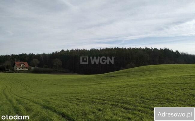 Działka budowlana Gaj-Grzmięca. Zdjęcie 14