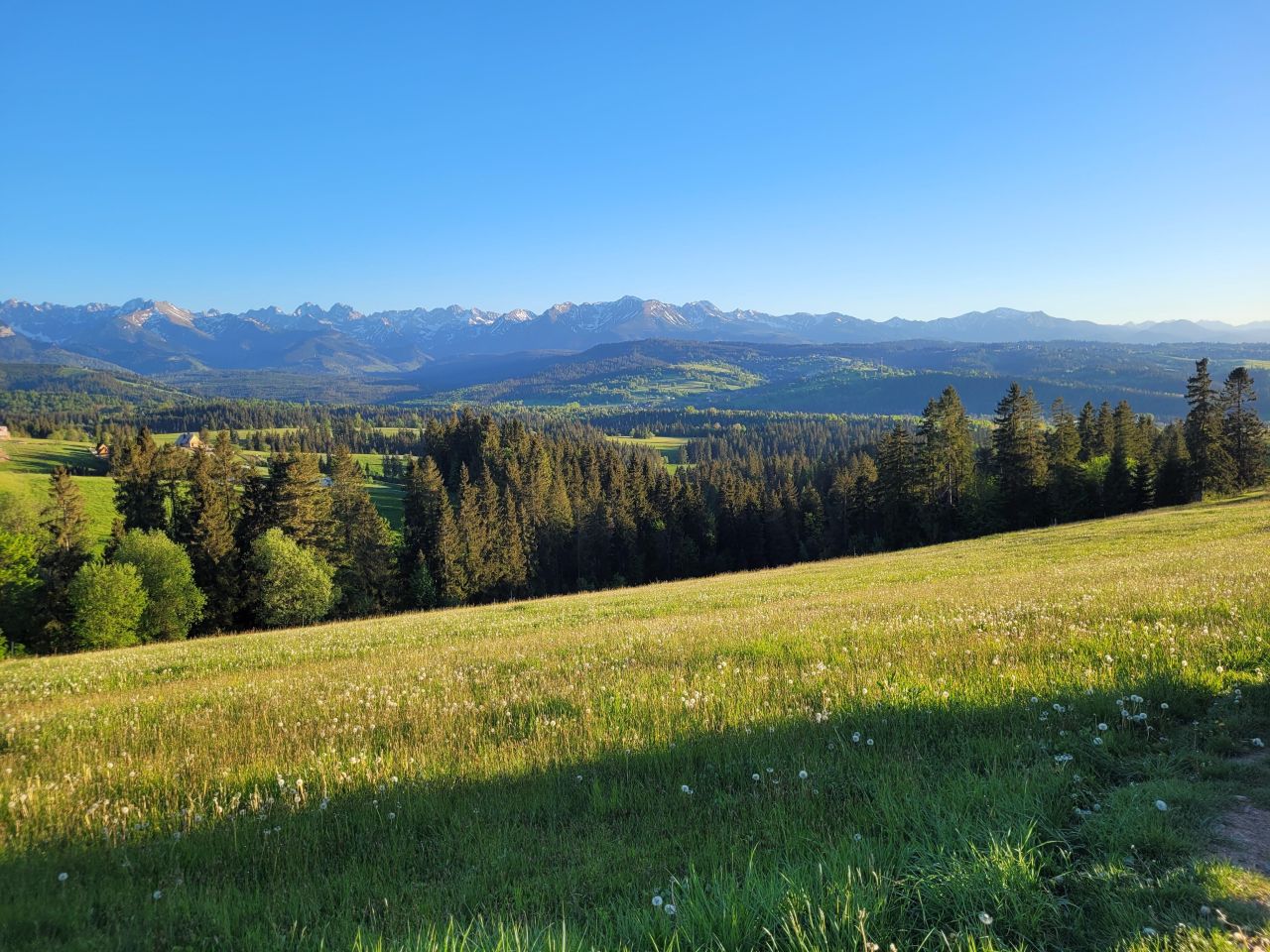 Działka rolna Rzepiska Bryjów Potok, ul. Potok Bryjów