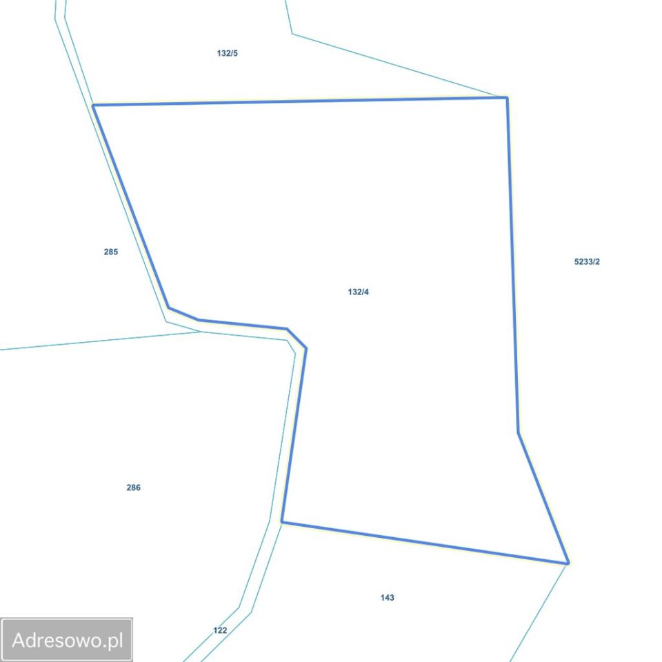 Działka inwestycyjna Miętkie. Zdjęcie 4