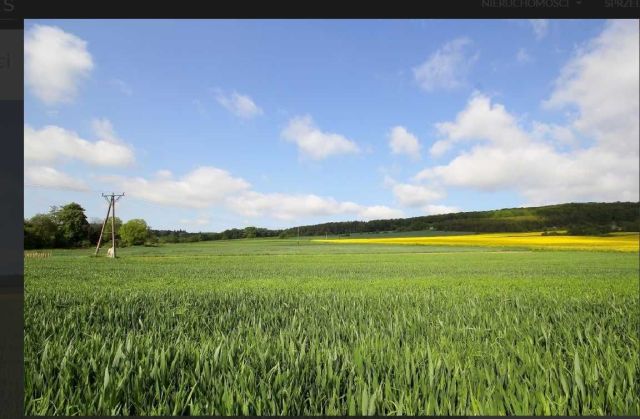 Działka budowlana Paszowice. Zdjęcie 1