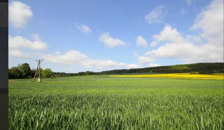 Działka budowlana Paszowice