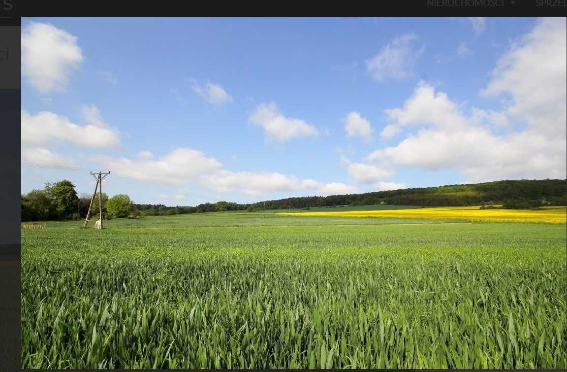 Działka budowlana Paszowice. Zdjęcie 1