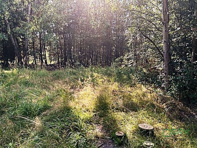 Działka inna Mysłowice, ul. 11 Listopada. Zdjęcie 7