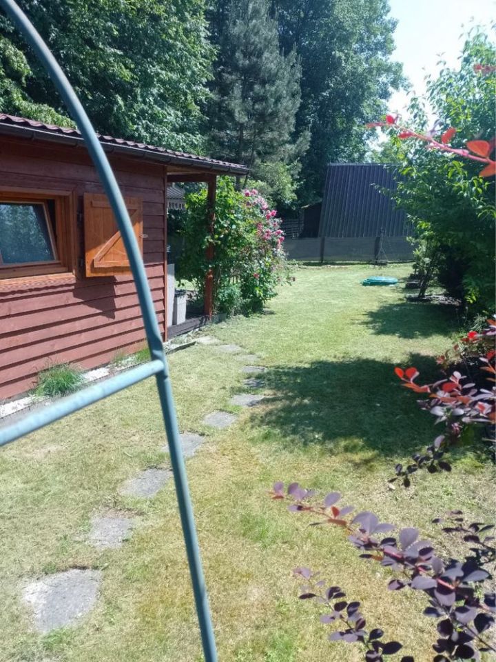 Działka rod Nowy Sącz Falkowa. Zdjęcie 5