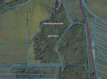 Działka leśna Pomiłowo. Zdjęcie 2