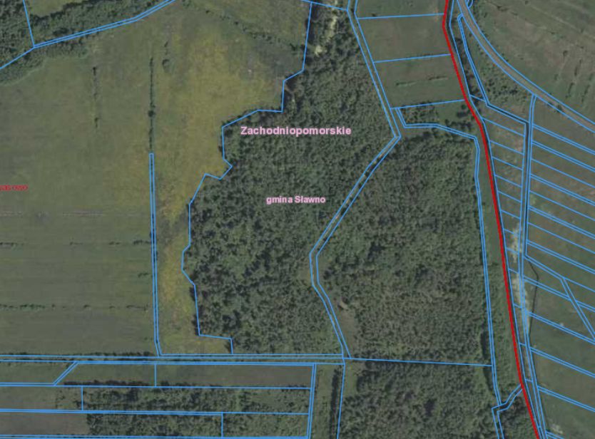 Działka leśna Pomiłowo. Zdjęcie 3