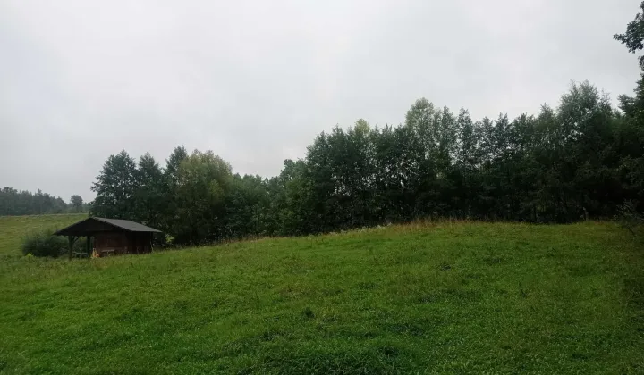 Działka rolno-budowlana Huta-Chojno