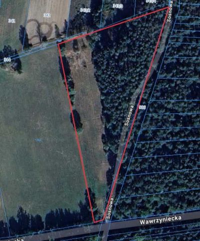 Działka budowlana Dobrzyniec. Zdjęcie 1