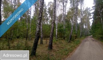 Działka leśna Borkowo Kościelne