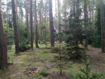 Działka budowlana Wieliszew, ul. Ptasia. Zdjęcie 2