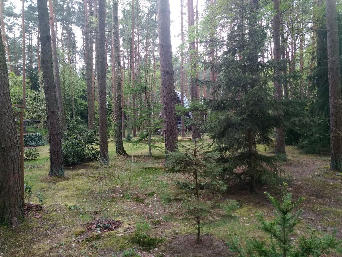 Działka budowlana Wieliszew, ul. Ptasia. Zdjęcie 3